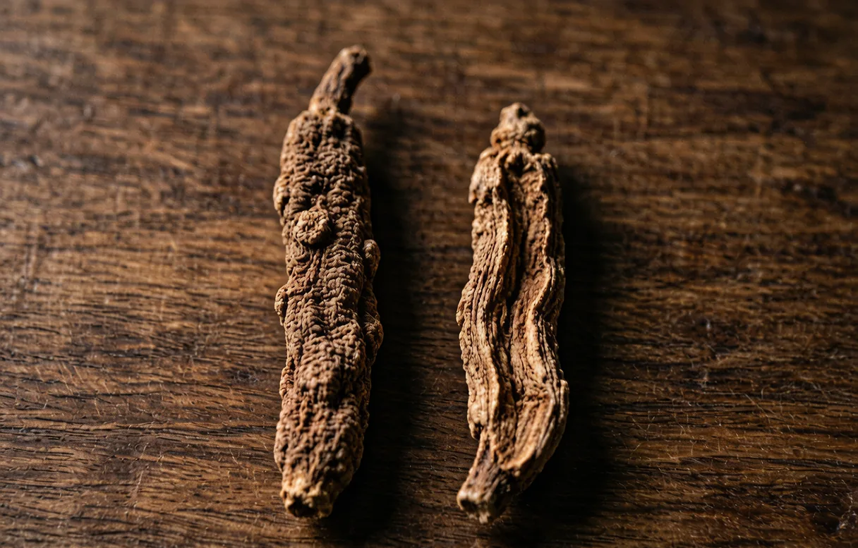别处无法复制